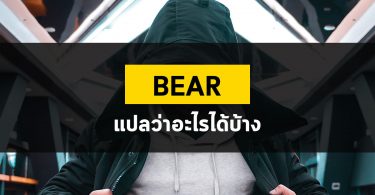 Bear แปลว่าอะไรได้บ้างนะ