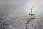 วิธีในการใช้ Hope